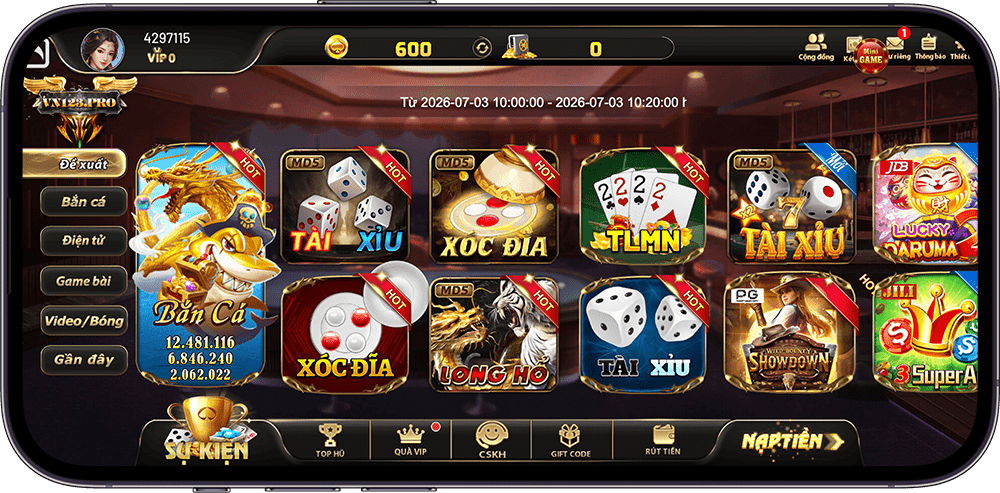 VN123 app interface